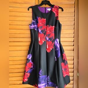Calvin Klein Black A-Line Dress with Red and Purple Accents